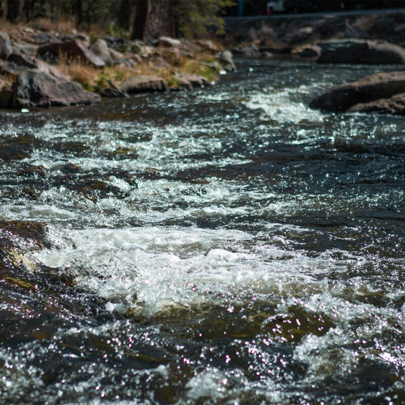 Clear, fast-flowing stream over rocks with sparse vegetation.
